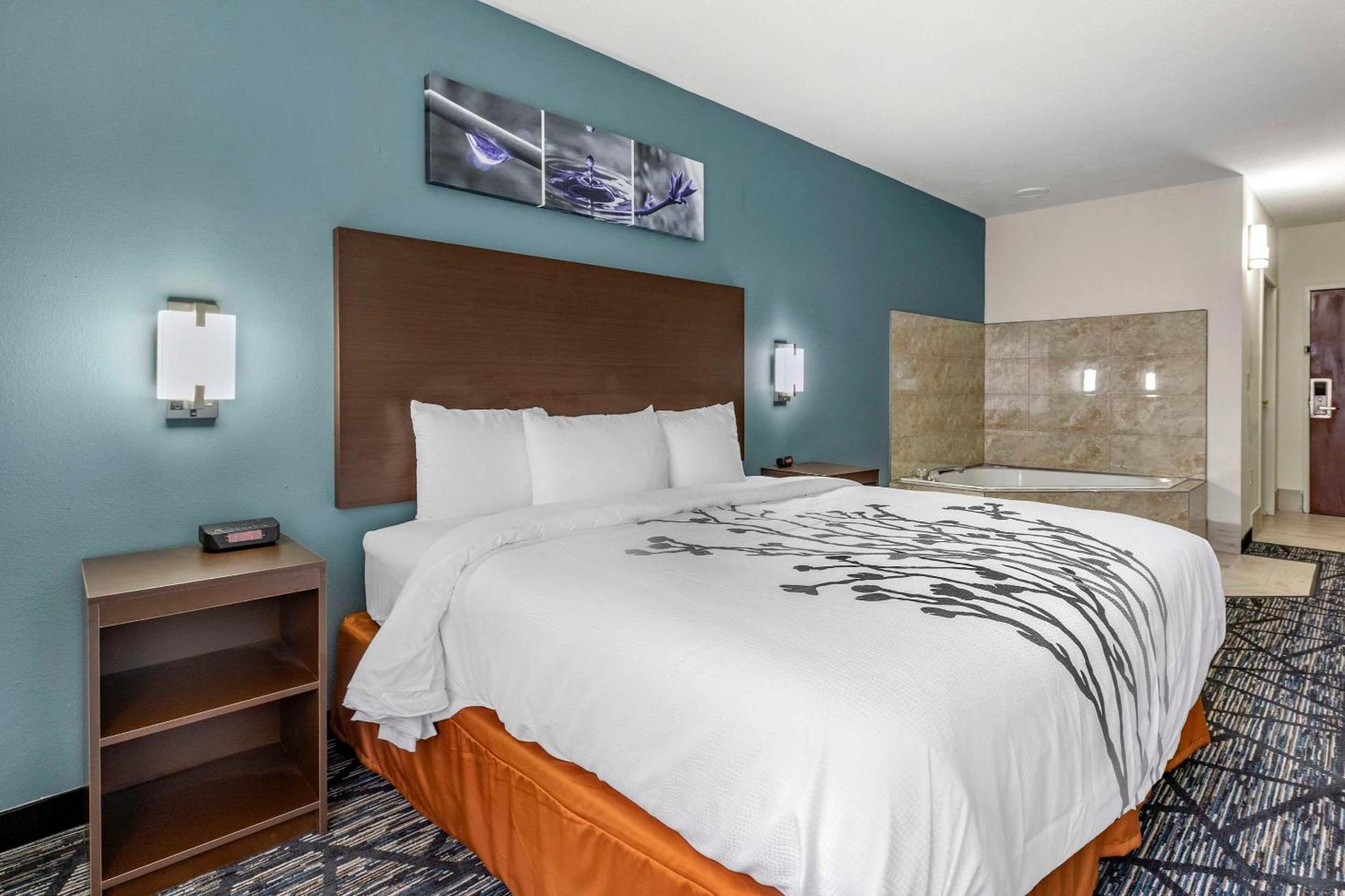 Sleep Inn & Suites Augusta West Near Fort Eisenhower グローブタウン エクステリア 写真
